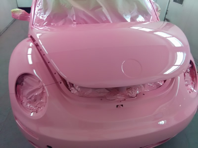Beetle 10