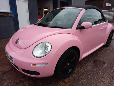 Beetle 5